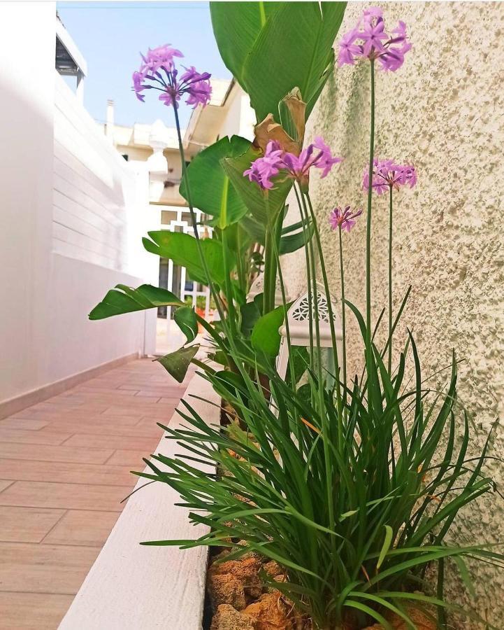 B&B Suites Via Del Mare Пресиче Екстериор снимка